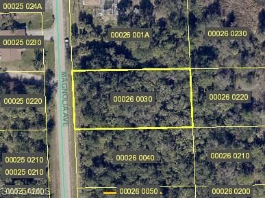 618 Magnolia AVE LEHIGH ACRES, FL 33972