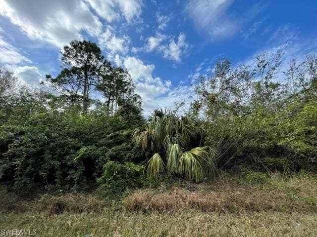 204 W 18th ST LEHIGH ACRES, FL 33972