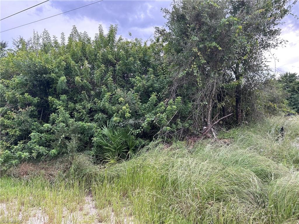 2703 4th ST SW LEHIGH ACRES, FL 33976
