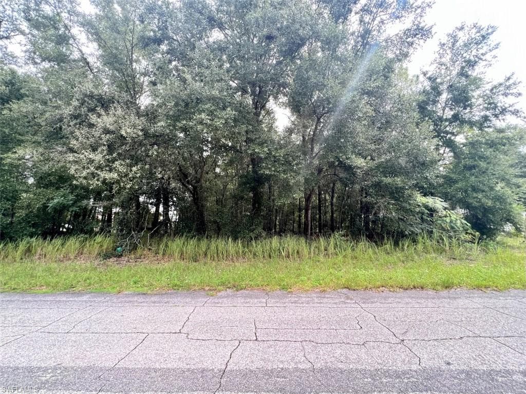 8107 N Fanita DR CITRUS SPRINGS, FL 34434