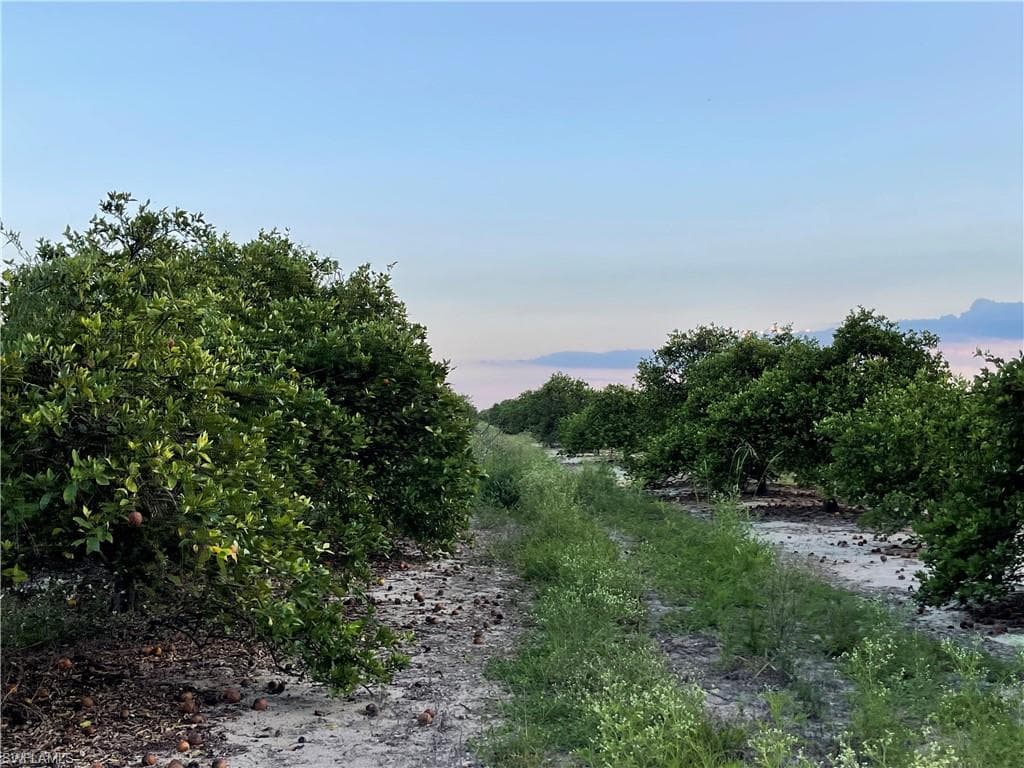 6595 7th RD LABELLE, FL 33935