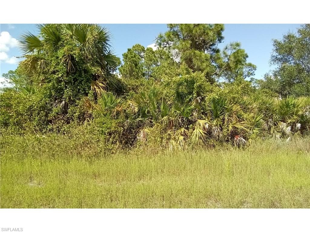911 Anthony ST E LEHIGH ACRES, FL 33974
