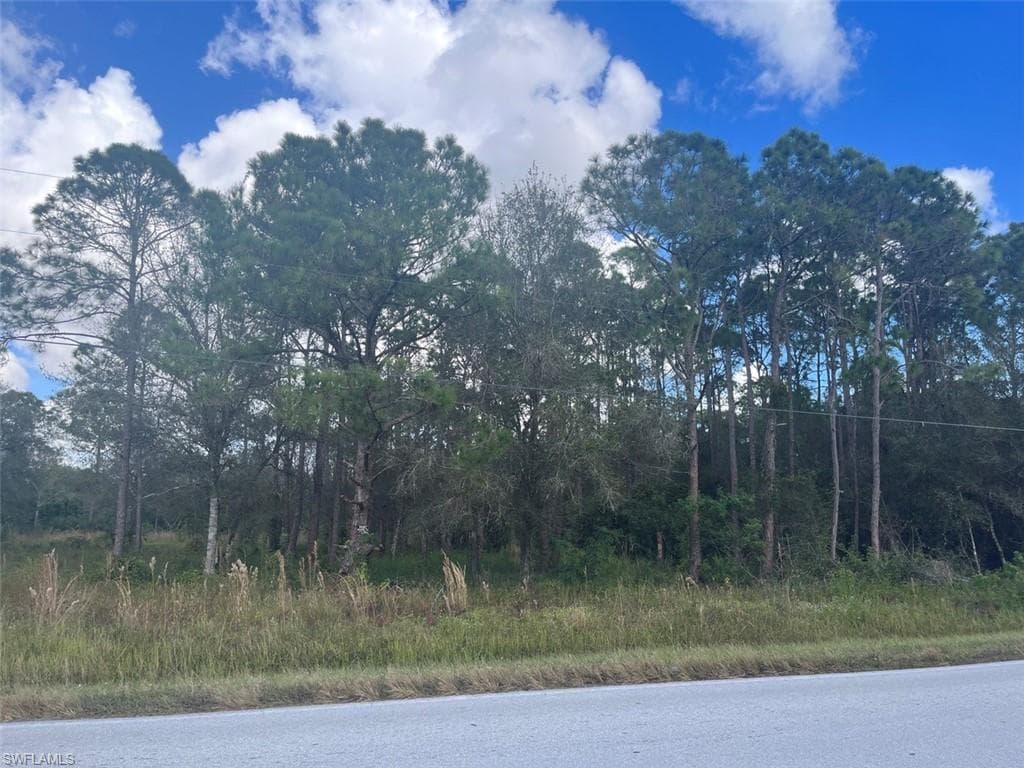 817 Woodland BLVD CLEWISTON, FL 33440