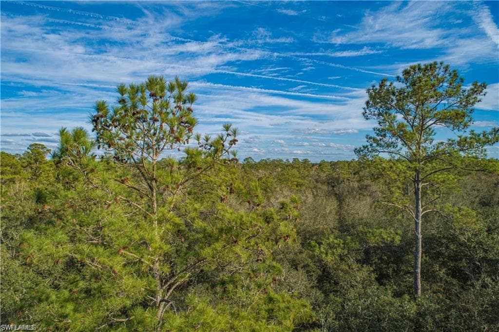 SE Wild Turkey RD BRANFORD, FL 32088