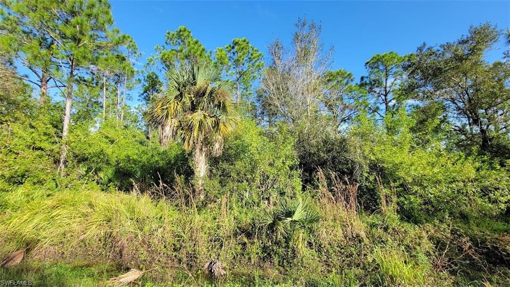 Block #17 W Jacks Branch RD LABELLE, FL 33935