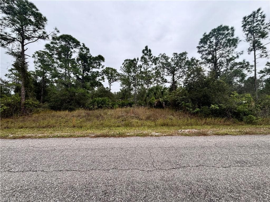 1216 Clayton AVE LEHIGH ACRES, FL 33972