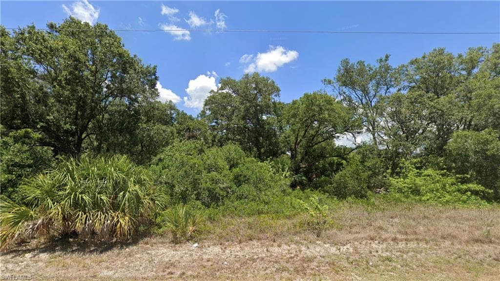 2905 E 18th ST LEHIGH ACRES, FL 33972