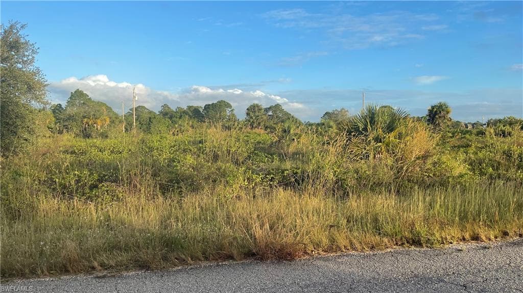 1249 Blaine AVE FORT MYERS, FL 33913