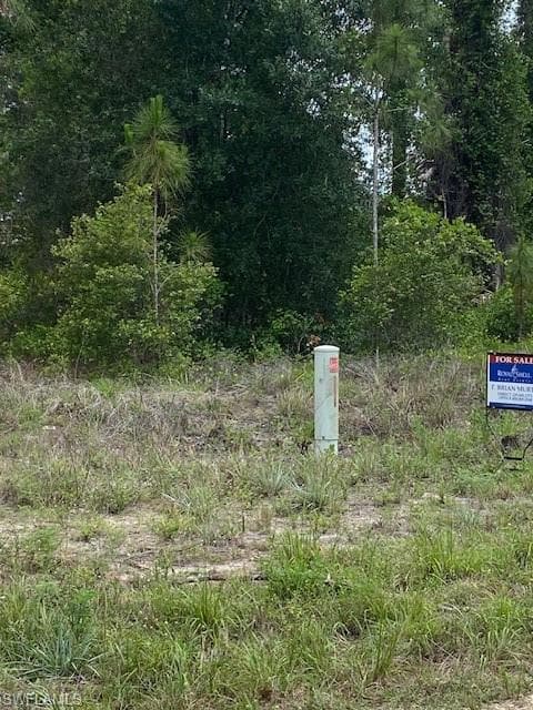 844 Calais ST E LEHIGH ACRES, FL 33974