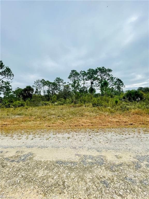 245 Nancy AVE S LEHIGH ACRES, FL 33974