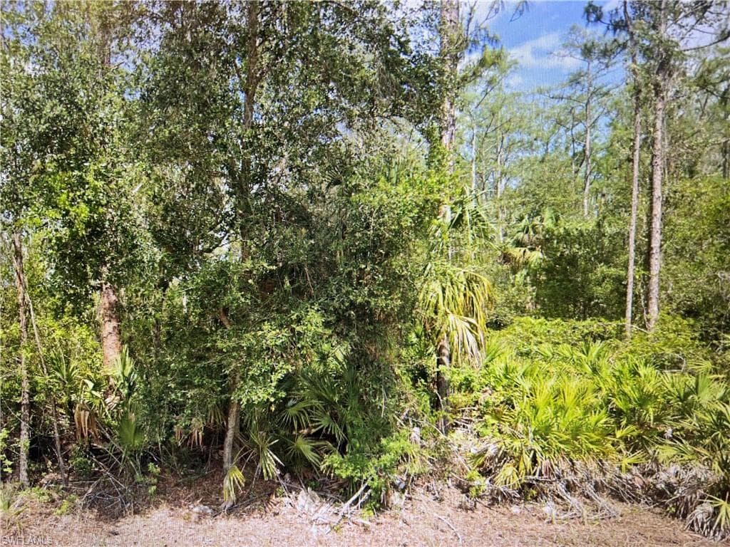 2114 Wellington AVE ALVA, FL 33920