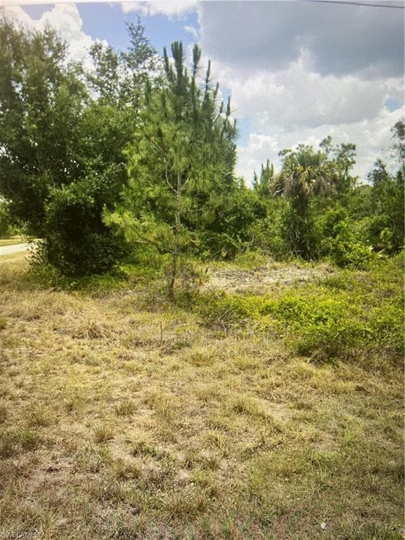 2101 Robert AVE ALVA, FL 33920