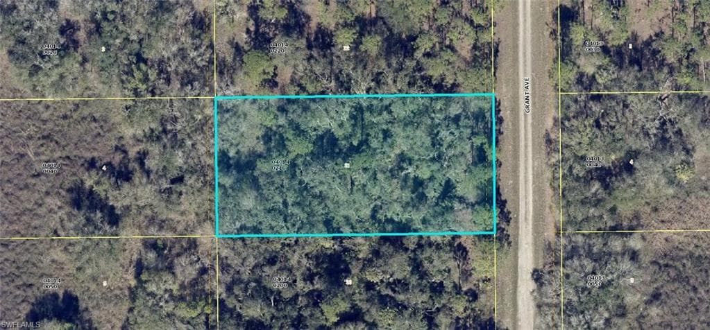 1317 Grant AVE LEHIGH ACRES, FL 33972