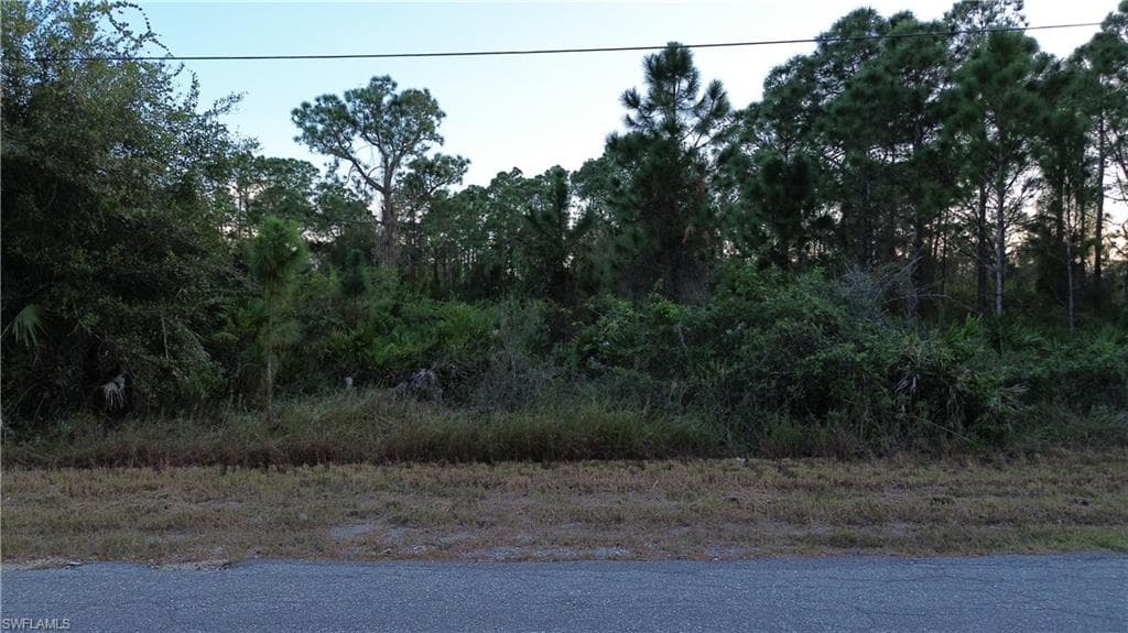 824 Calumet ST E LEHIGH ACRES, FL 33974