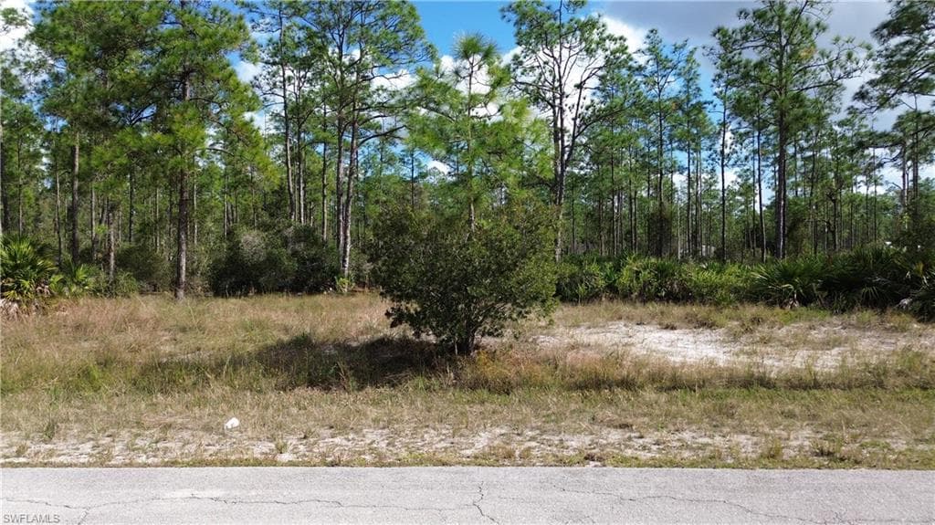 2216 Hamilton AVE ALVA, FL 33920