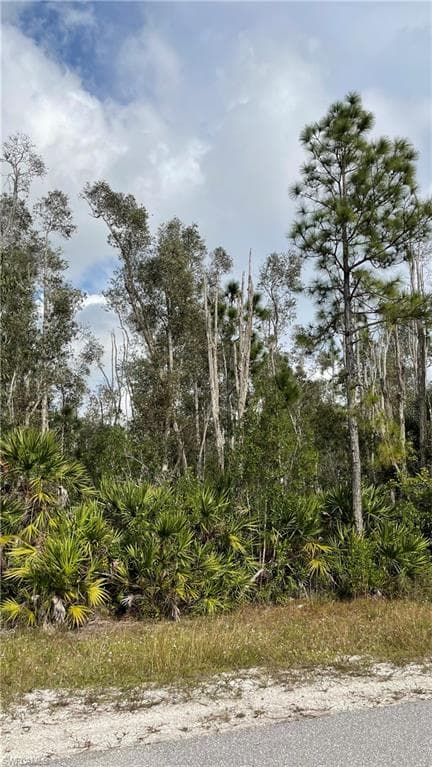 2739 Meadow RD S LEHIGH ACRES, FL 33974