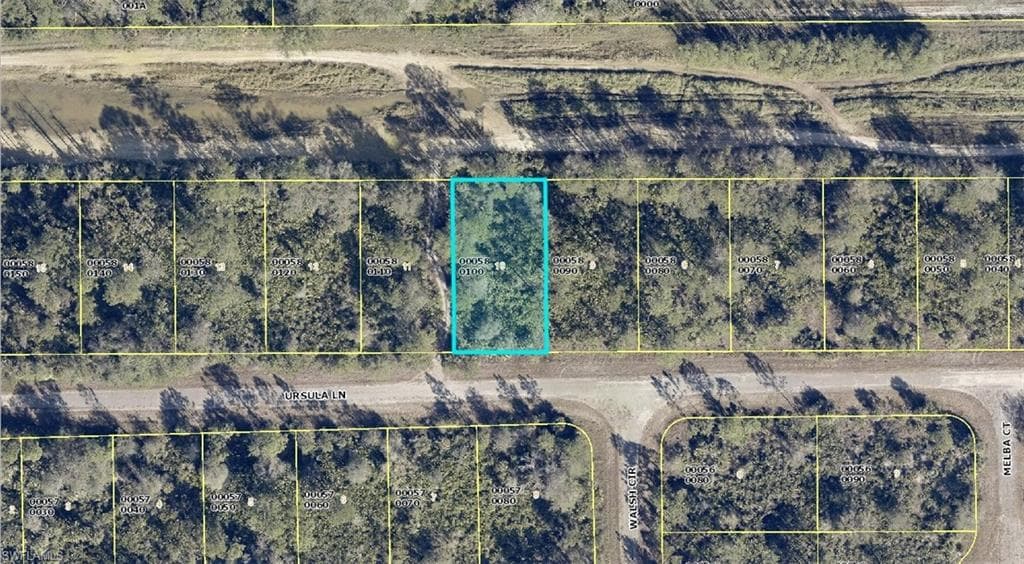 382 Ursula LN LEHIGH ACRES, FL 33972