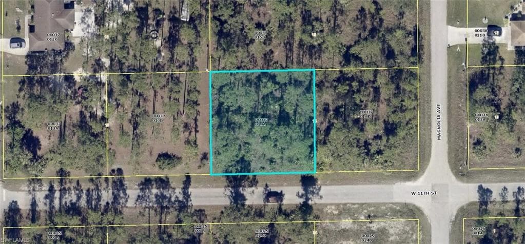 1002 W 11th ST LEHIGH ACRES, FL 33972