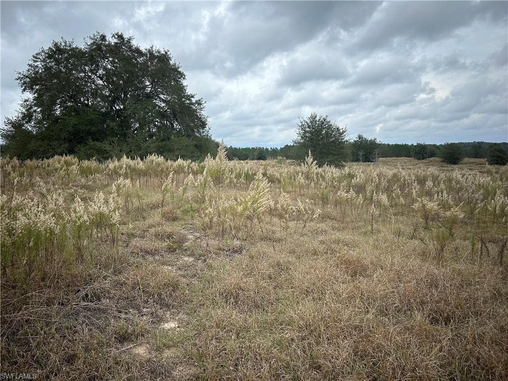176 N AMBER MEADOWS TER INVERNESS, FL 34453