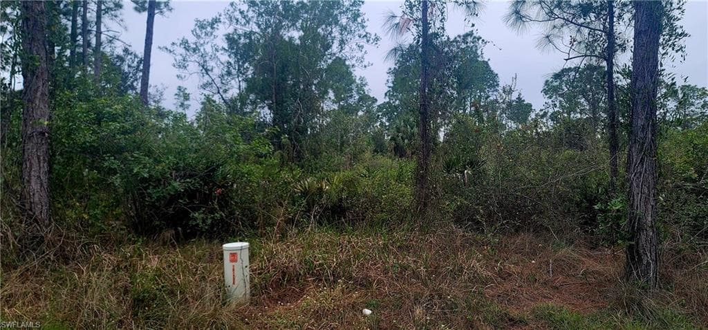 902 E 11th ST LEHIGH ACRES, FL 33972