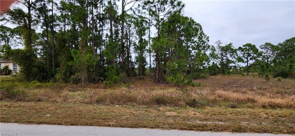 955 Candlelight DR LEHIGH ACRES, FL 33974