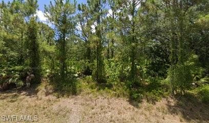 1917 Canton AVE LEHIGH ACRES, FL 33972