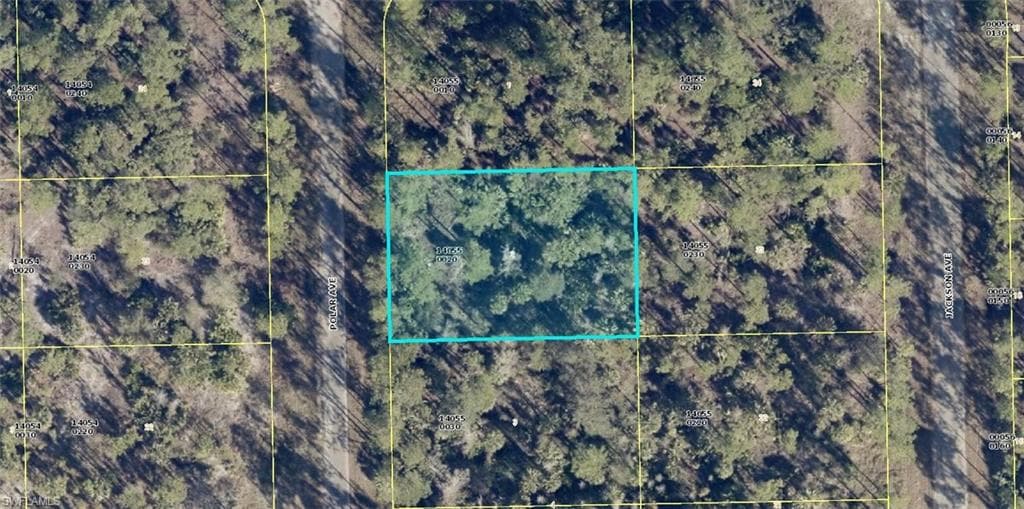 2120 Polar AVE ALVA, FL 33920