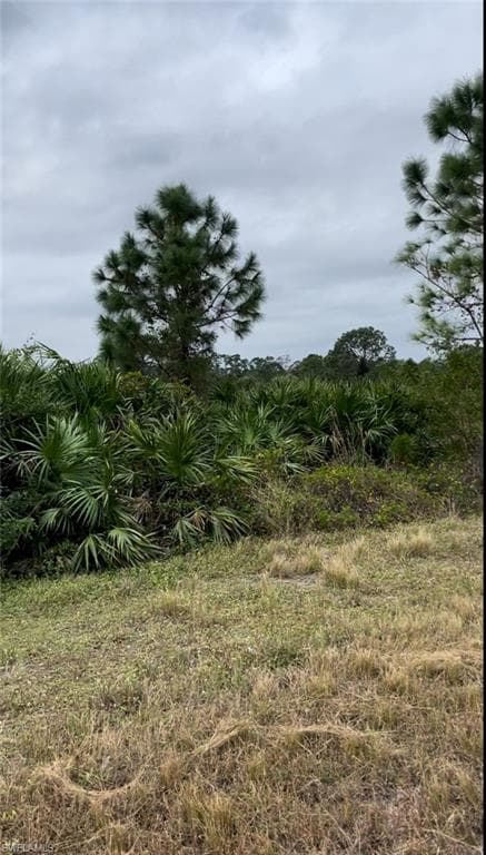 656 Foxchase DR LEHIGH ACRES, FL 33974