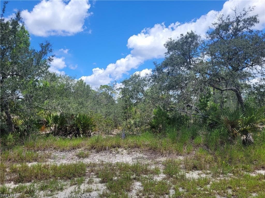 3265 Purple Martin AVE LAKE PLACID, FL 33852