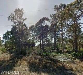 1226 Count ST E LEHIGH ACRES, FL 33974