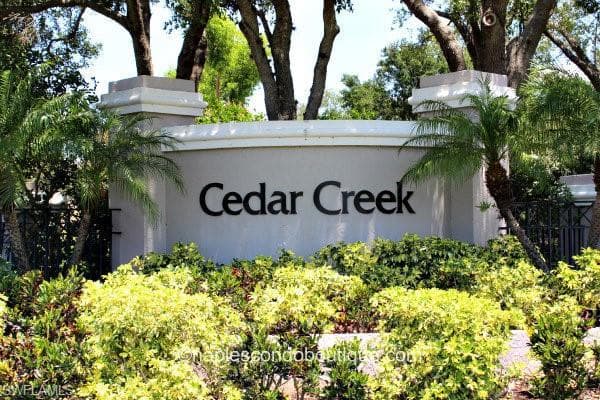 25530 Springtide CT BONITA SPRINGS, FL 34135