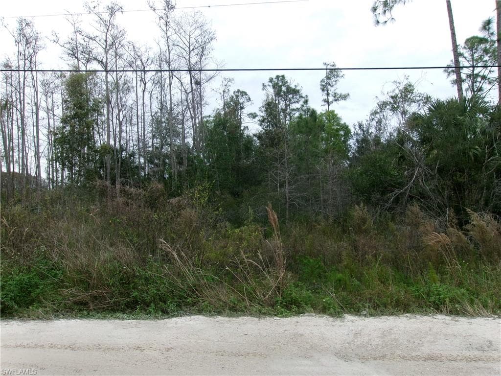 17440 Richard RD FORT MYERS, FL 33913