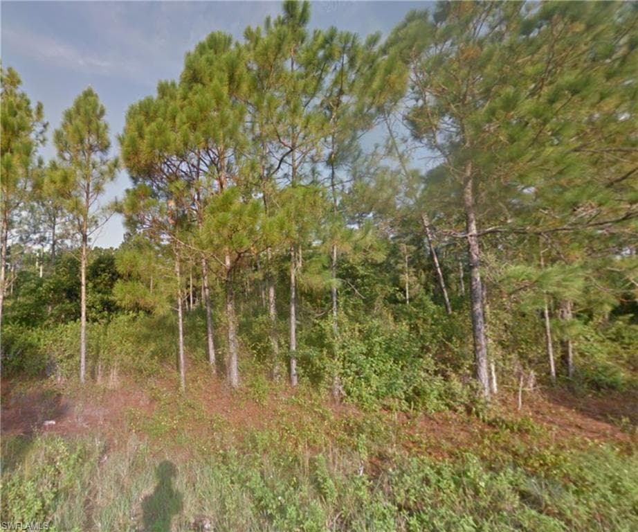 846 Chapman AVE S LEHIGH ACRES, FL 33974