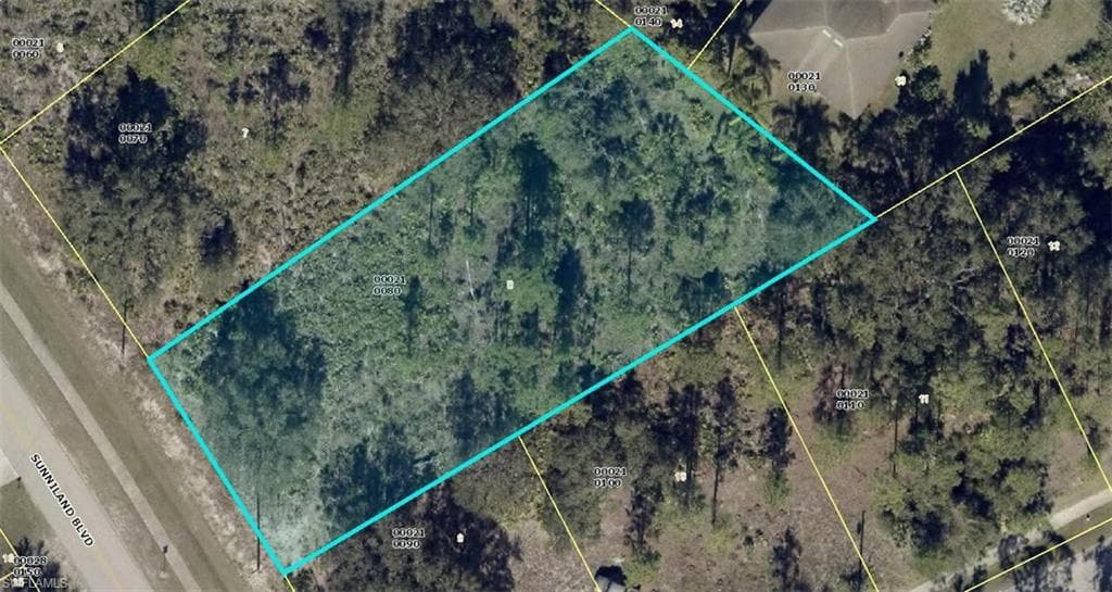 2504 Sunniland BLVD LEHIGH ACRES, FL 33971