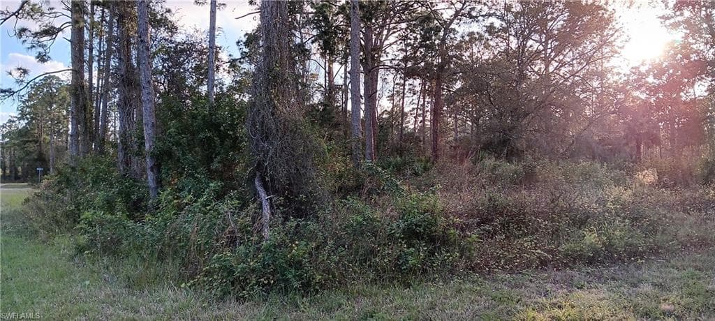 1224 Ramus ST E LEHIGH ACRES, FL 33974