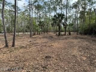 24443 Rocky RD BONITA SPRINGS, FL 34135