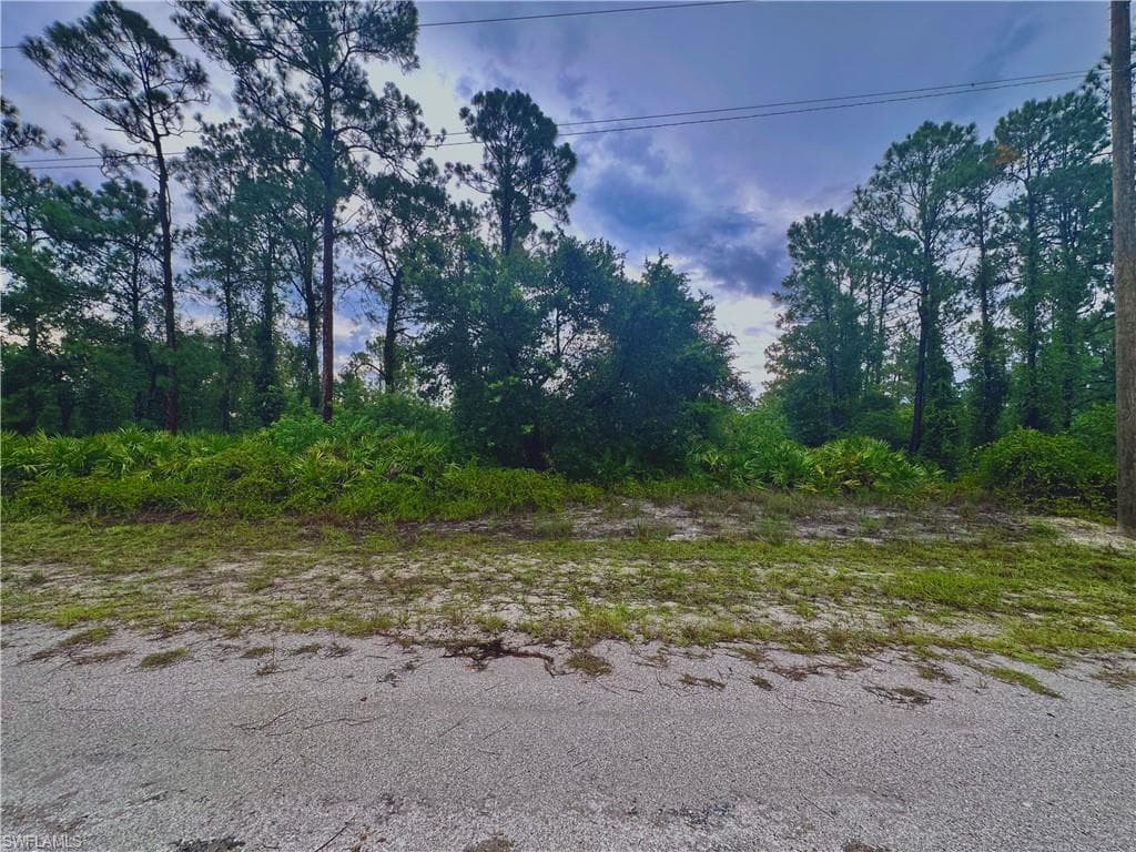 802 W 18th ST LEHIGH ACRES, FL 33972