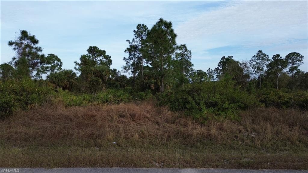 410 Leroy AVE LEHIGH ACRES, FL 33972