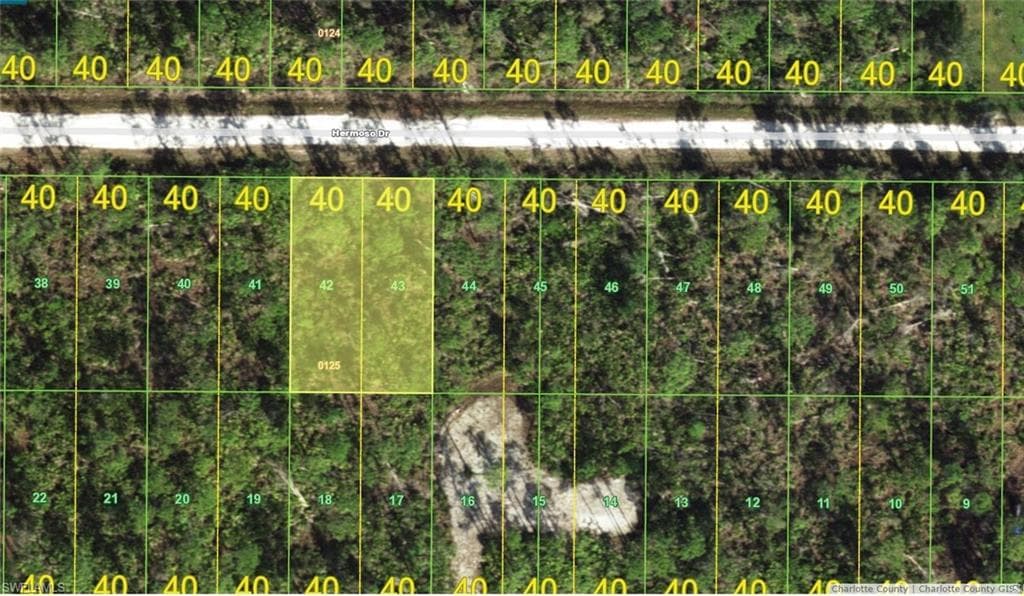 28337 Hermoso DR PUNTA GORDA, FL 33955