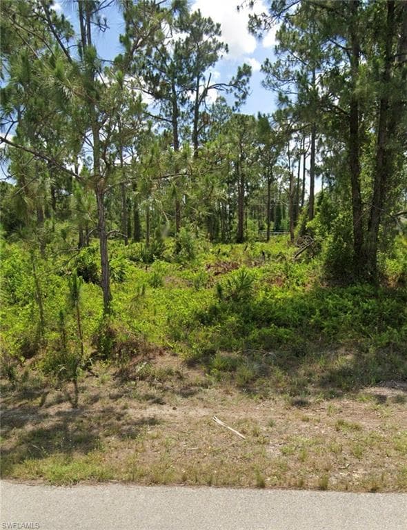 730 Pinecastle DR LEHIGH ACRES, FL 33974