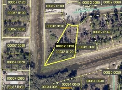 3015 Laura CT LEHIGH ACRES, FL 33971