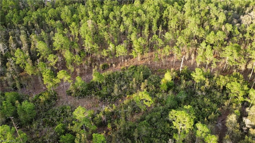 TBD 48th Ave NE NAPLES, FL 34120