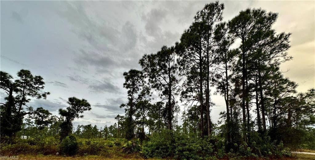 1106 Elegans ST E LEHIGH ACRES, FL 33974