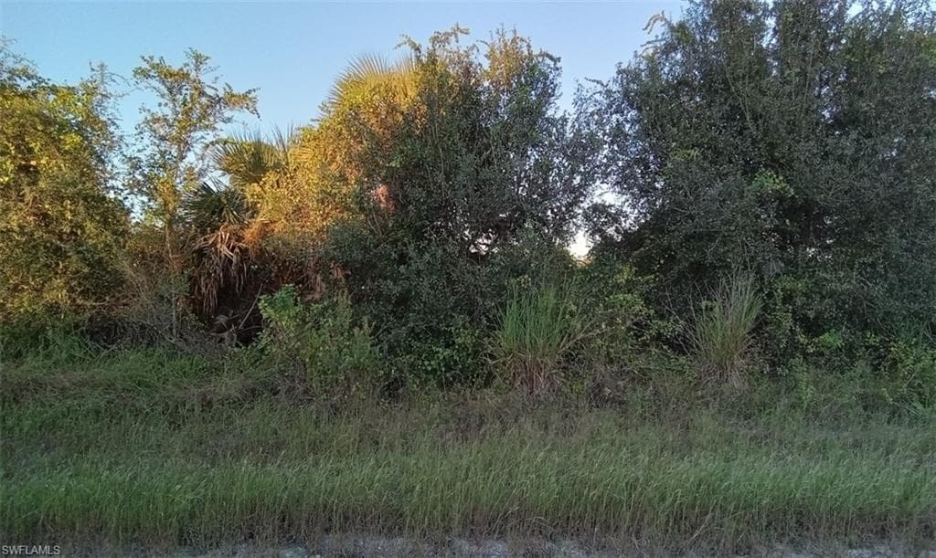 753 Chelsea AVE S LEHIGH ACRES, FL 33974