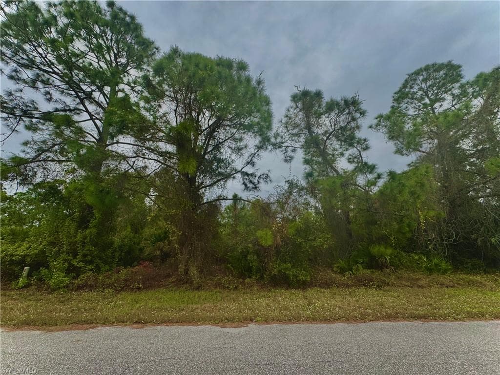 1043 Barcelona ST E LEHIGH ACRES, FL 33974