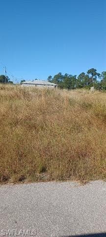 1155 Darling ST E LEHIGH ACRES, FL 33974