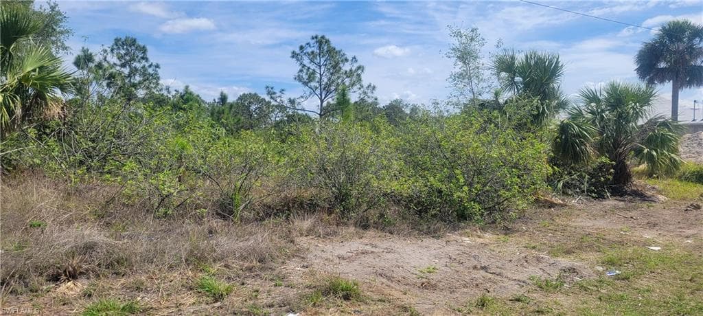 527 Morris Tyler AVE LEHIGH ACRES, FL 33974