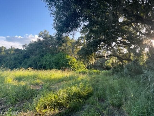 580 Norris RD FORT DENAUD, FL 33935