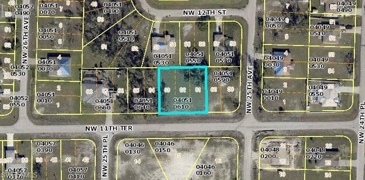2507 NW 11th TER CAPE CORAL, FL 33993