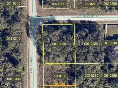4182 E 30th ST ALVA, FL 33920
